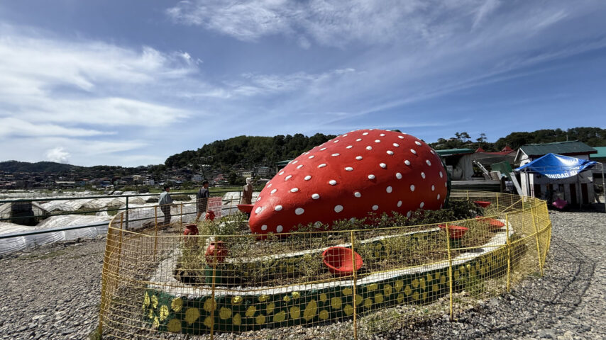 プロジェクト写真 19