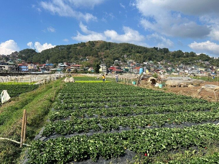 プロジェクト写真 10